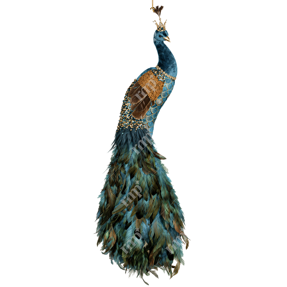 Plume Peacock
