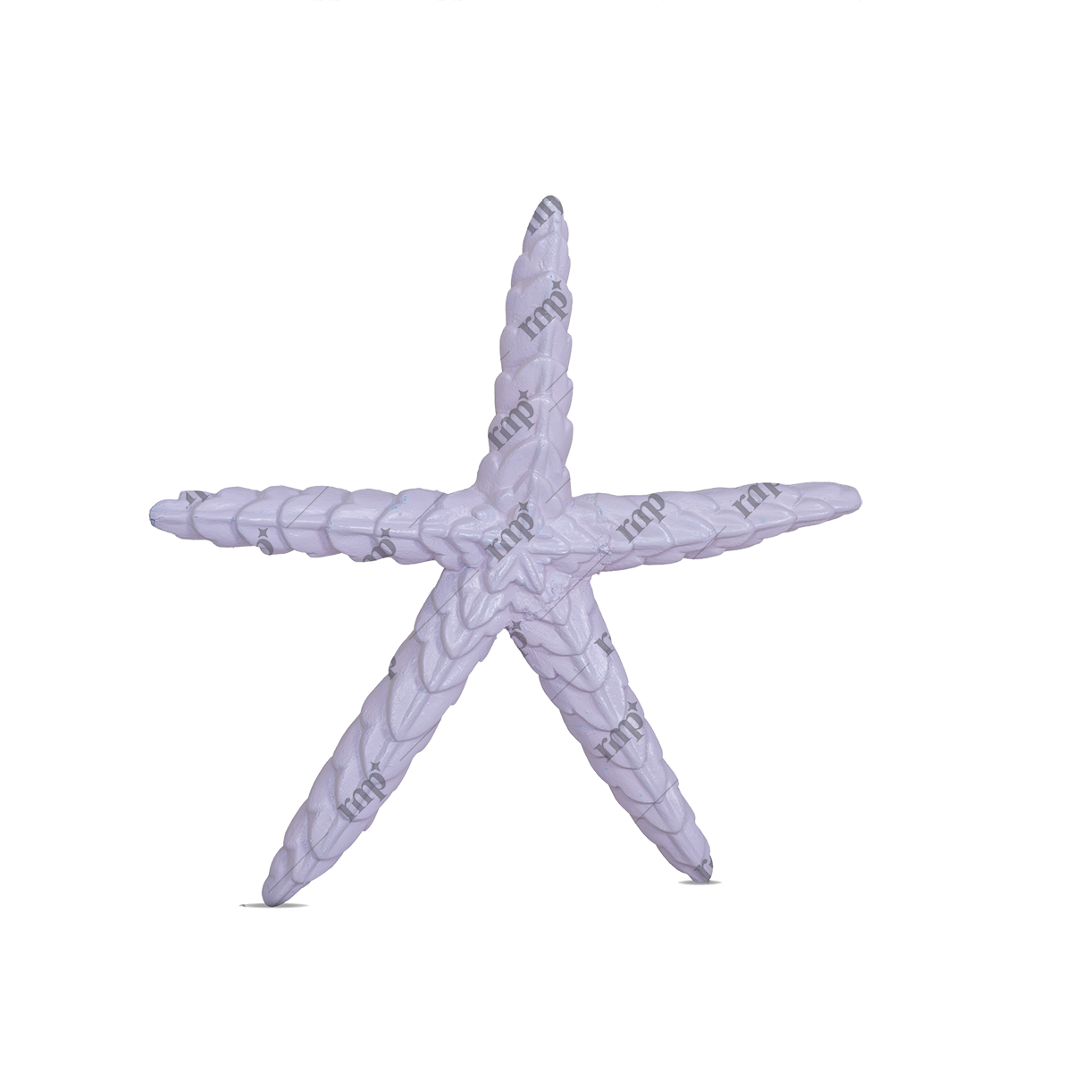 Decorative starfish with a textured surface on a white background