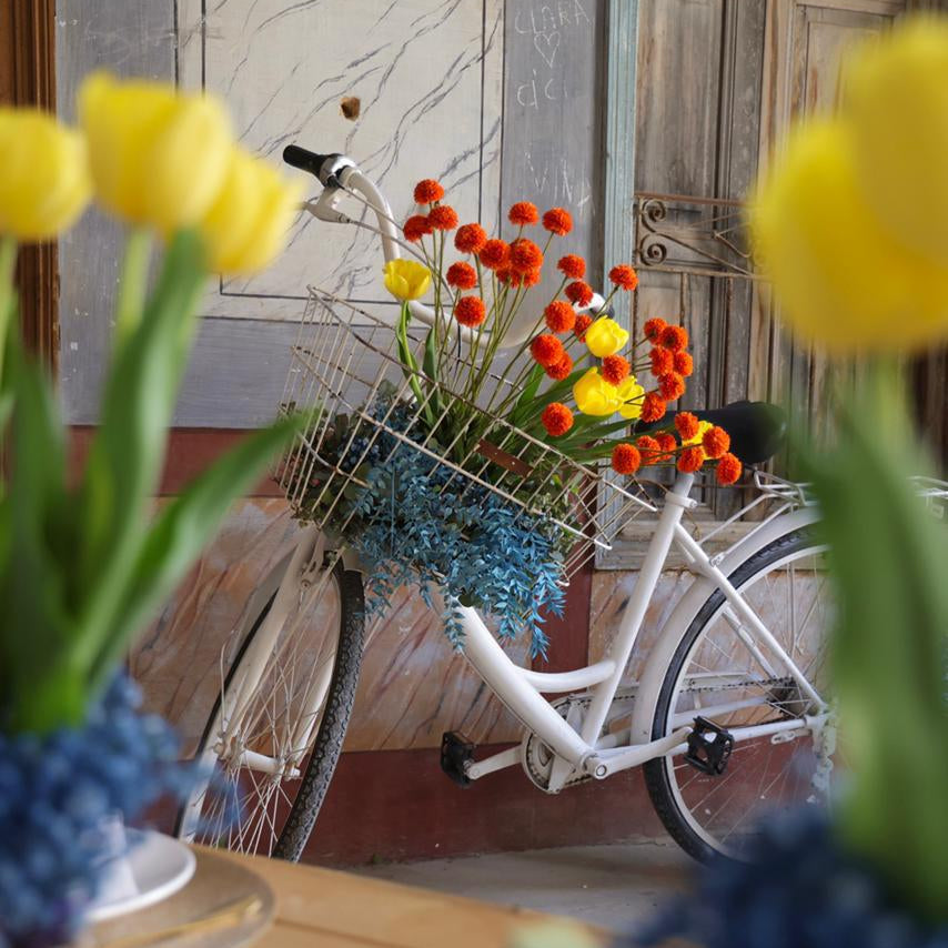 White bicycle with a basket of flowers, surrounded by yellow and blue tulips, against a wooden door.