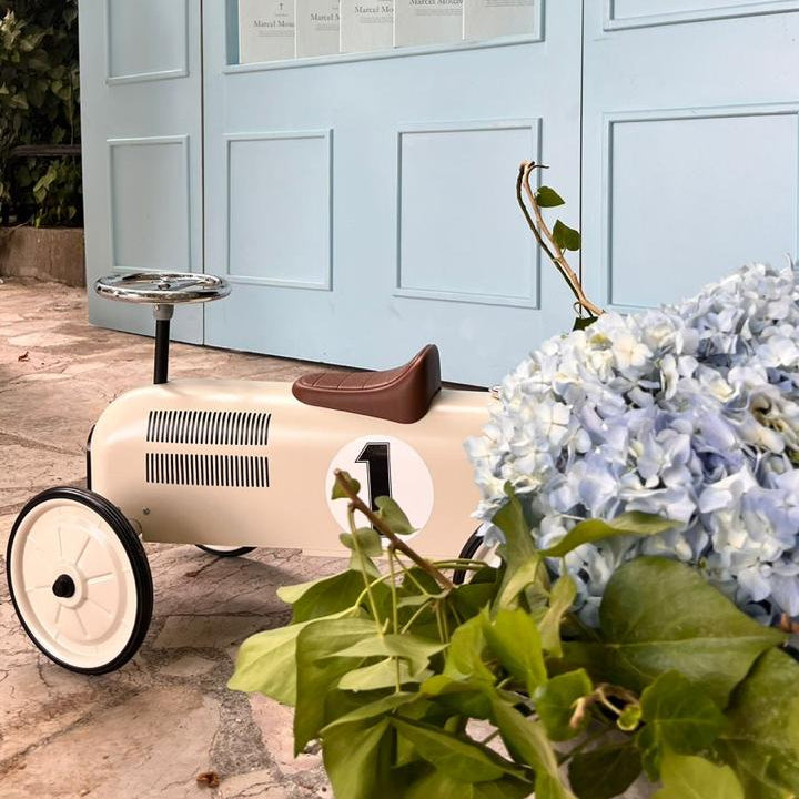 Light blue building with shelves, child's toy car, and hydrangeas in front