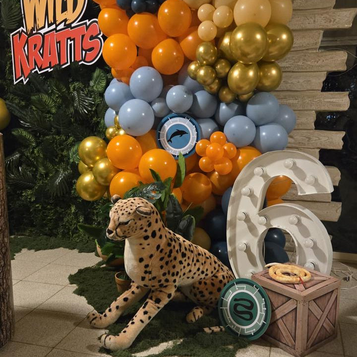 Decorative setup with balloons, a stuffed cheetah, and 'Wild Kratts' branding.