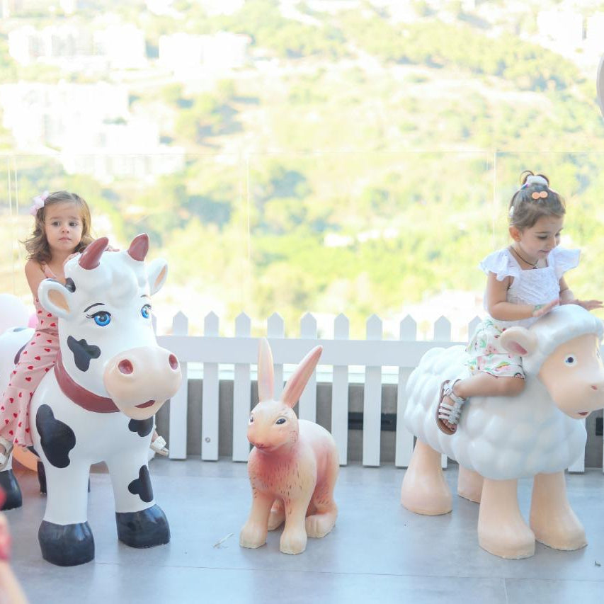 farm birthday theme.
