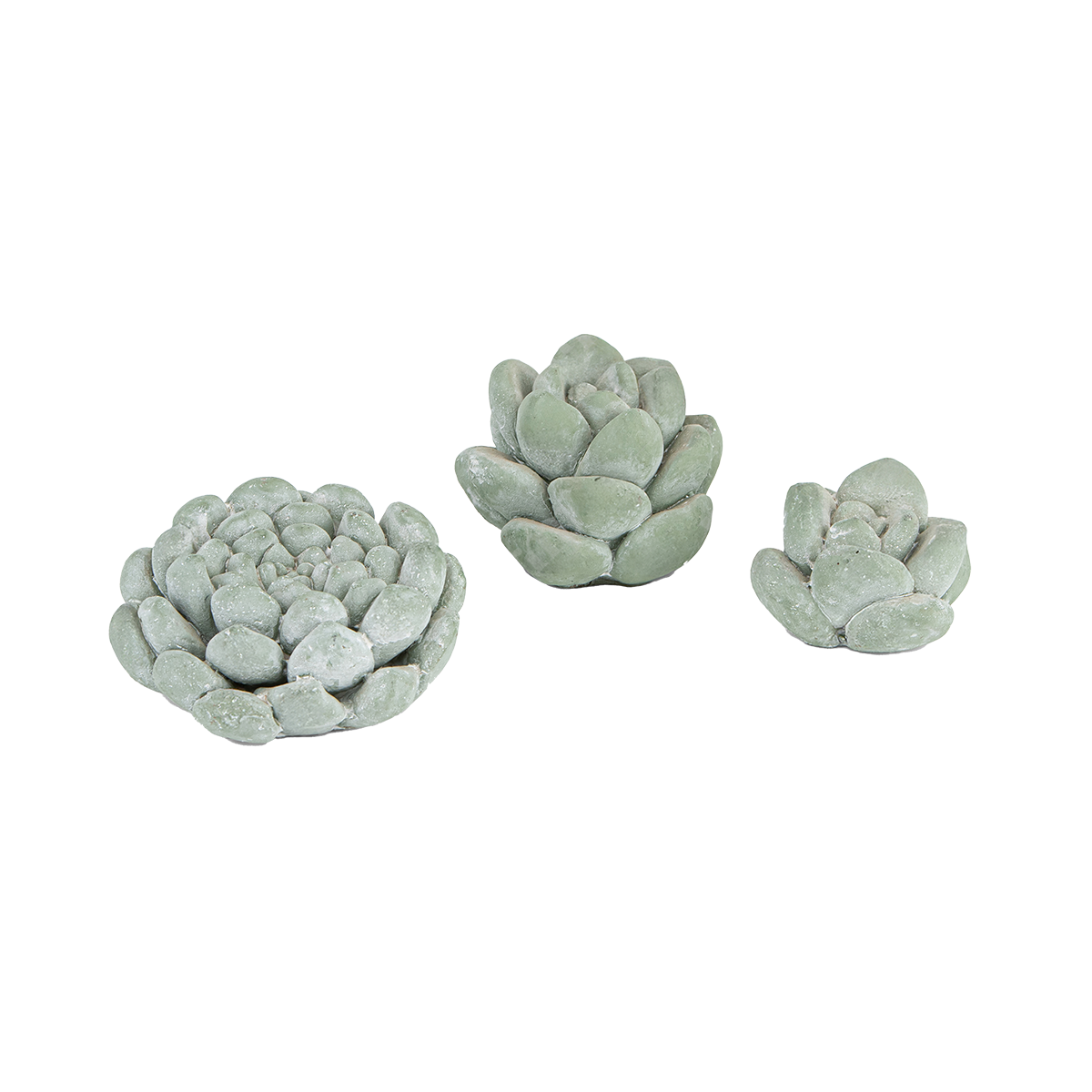 Cactus Accessories By Rent My Party - Accessories 