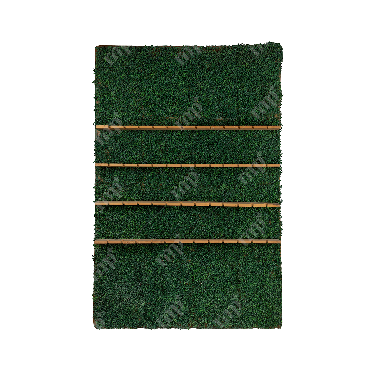 Champagne Wall By Rent My Party - Champagne Wall