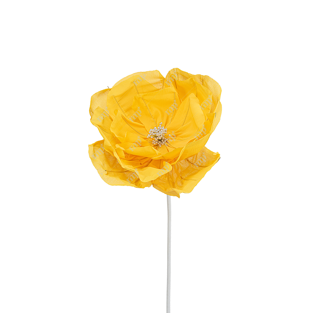 Giant Flowers 10 By Rent My Party - Giant Flowers