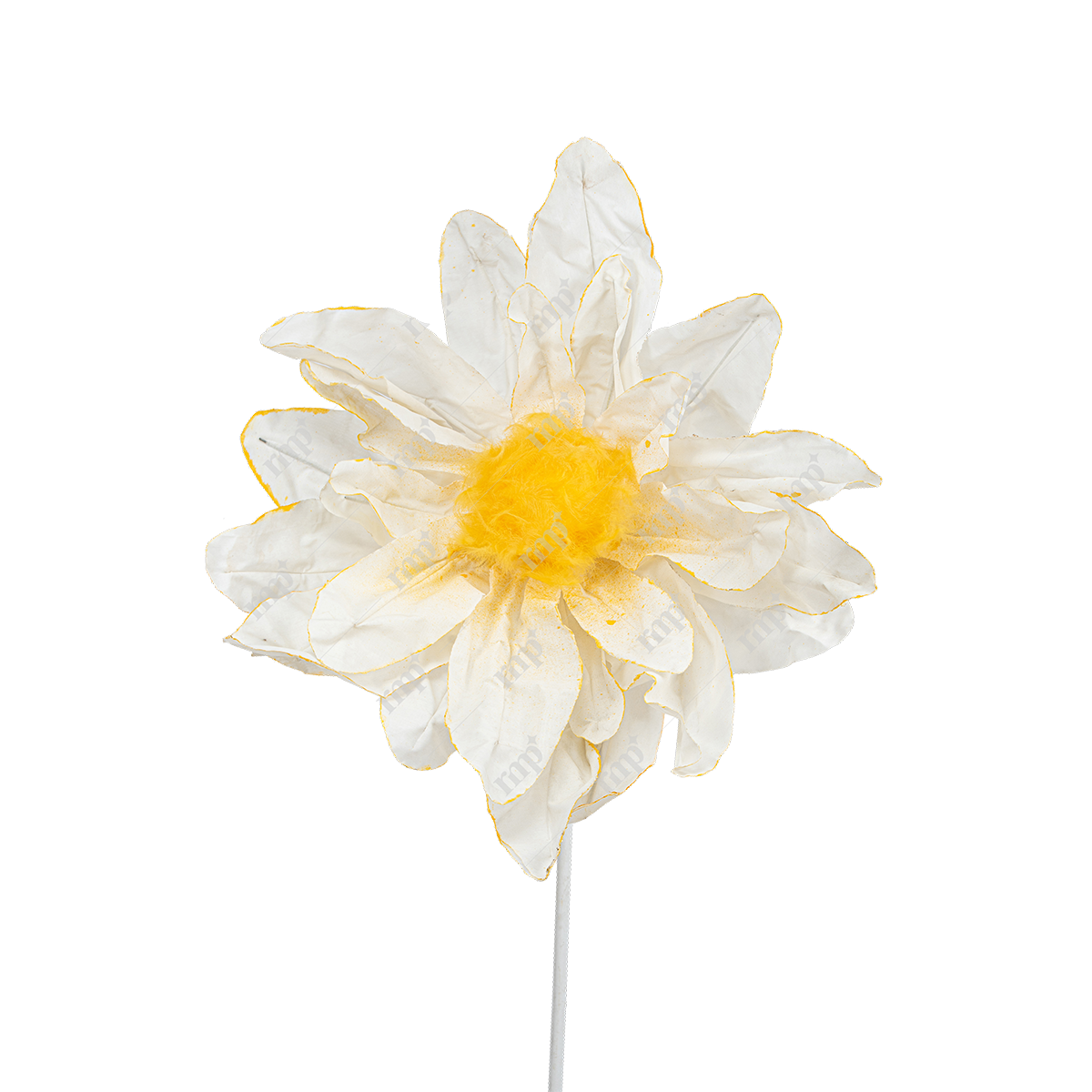 Giant Flowers 12 By Rent My Party - Giant Flowers