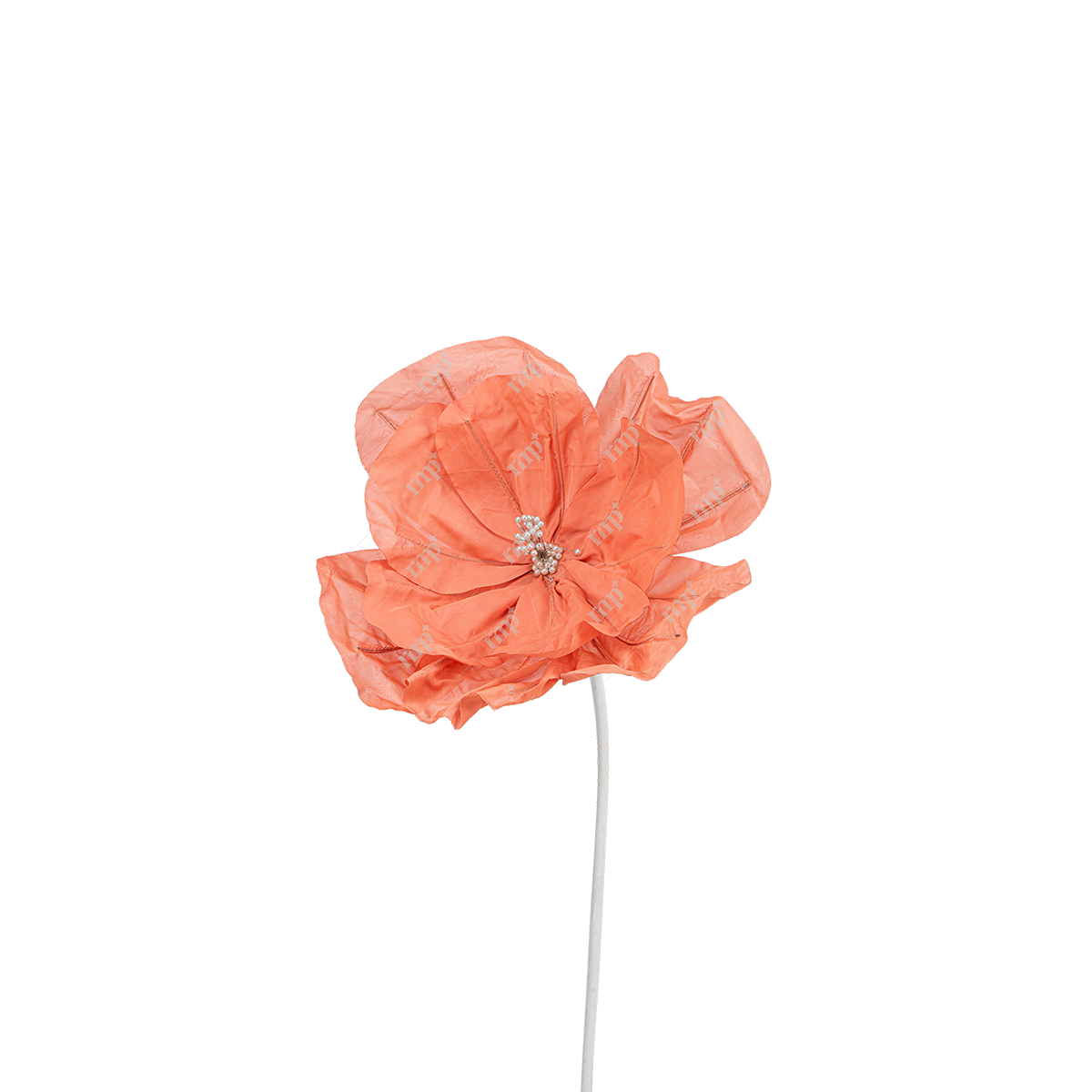 Giant Flowers 14 By Rent My Party - Giant Flowers