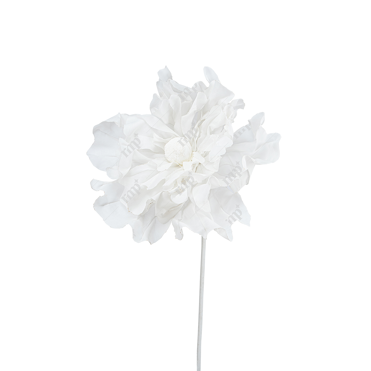 Giant Flowers 15 By Rent My Party - Giant Flowers