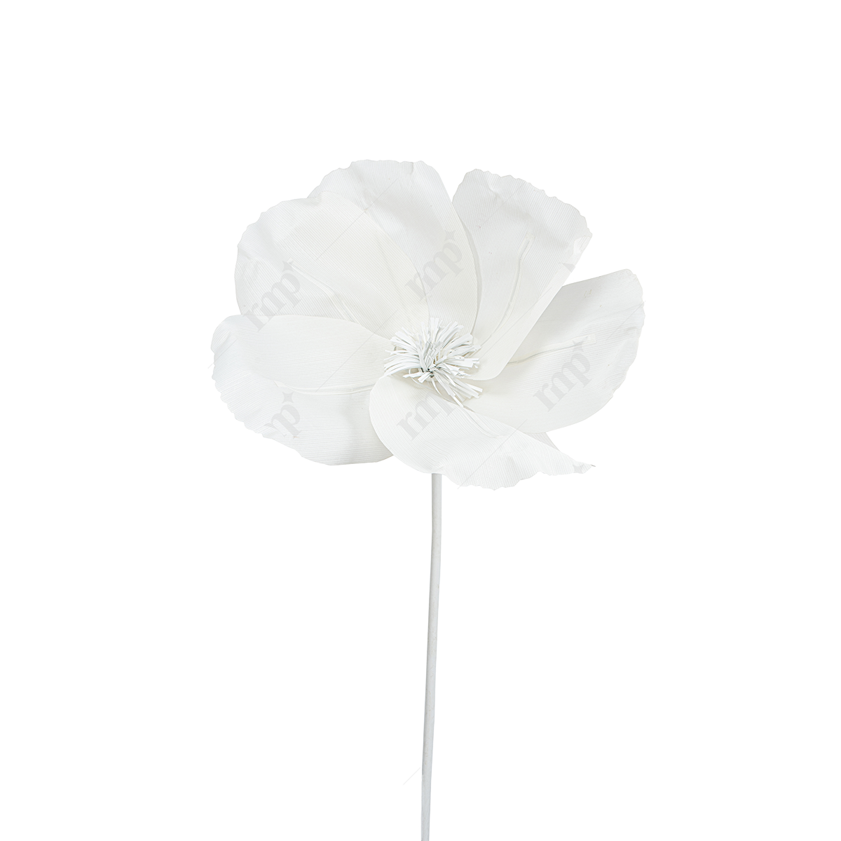 Giant Flowers 19 By Rent My Party - Giant Flowers