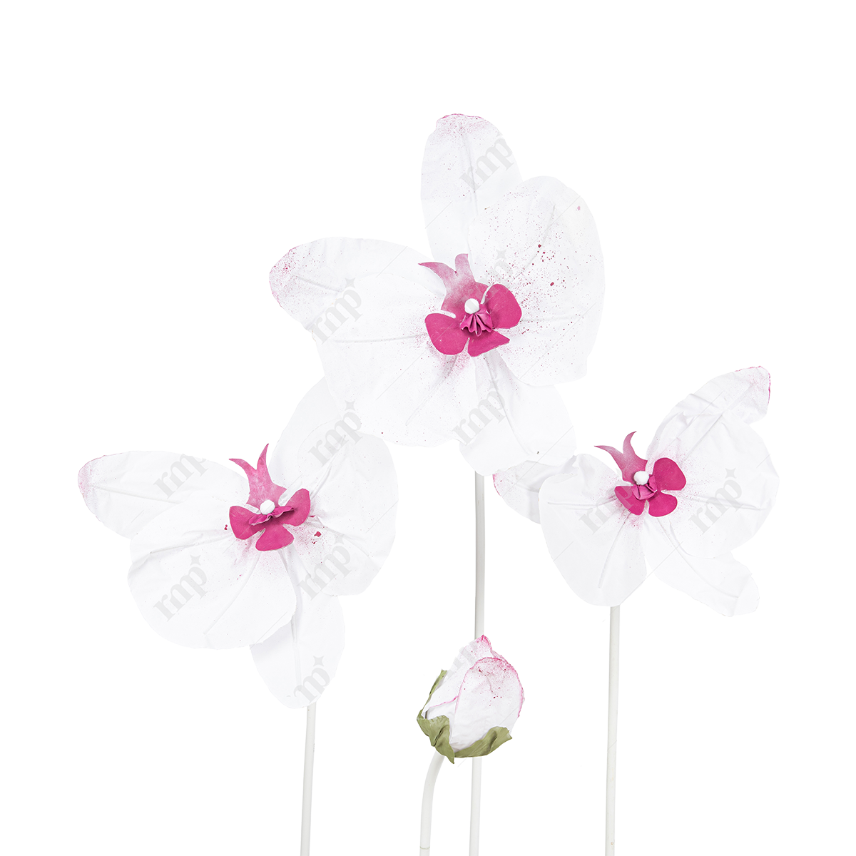 Giant Flowers 24 By Rent My Party - Giant Flowers