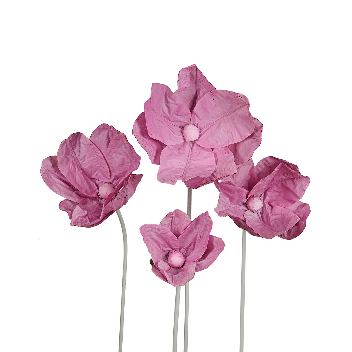 Giant Flowers 25 By Rent My Party - Giant Flowers