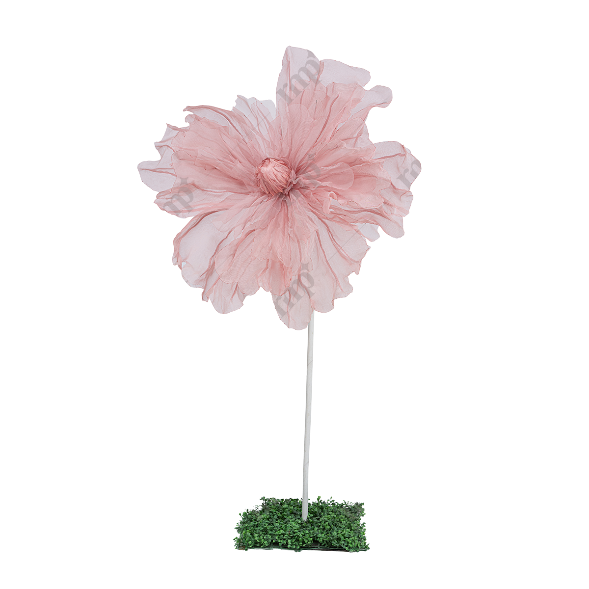 Giant Flowers 3 By Rent My Party - Giant Flowers