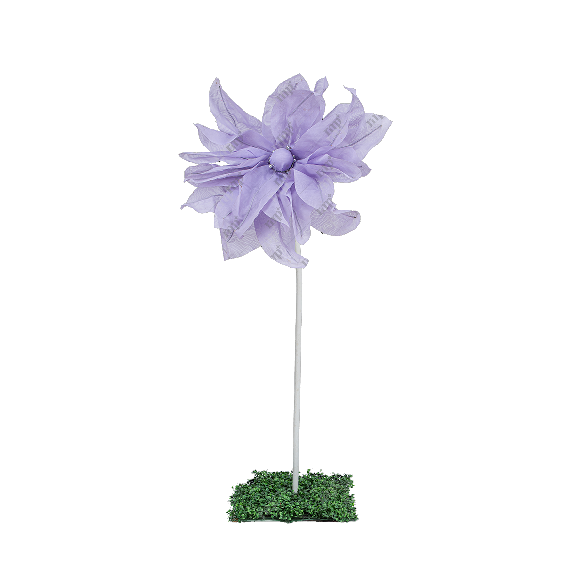Giant Flowers