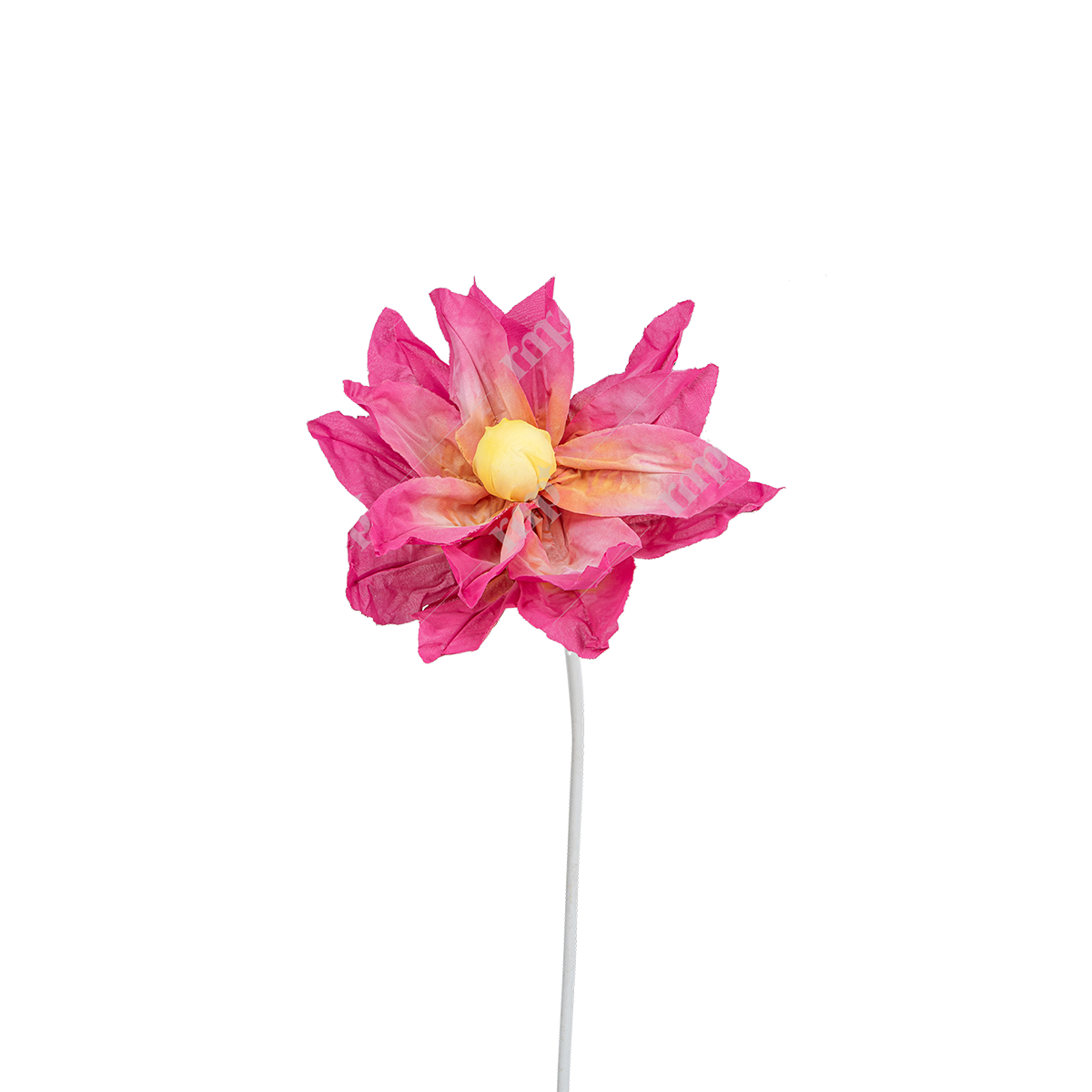 Giant Flowers 8 By Rent My Party - Giant Flowers