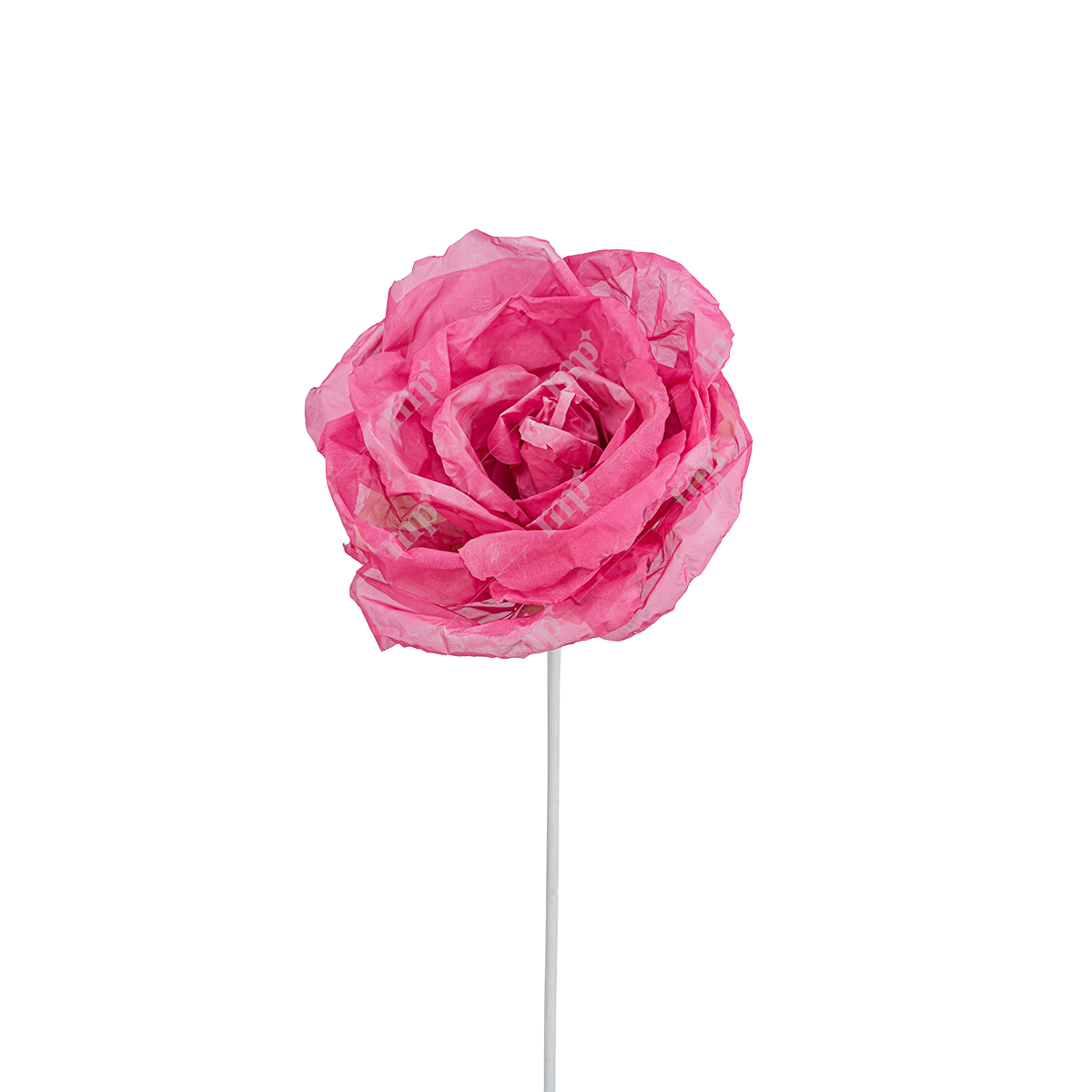 Giant Flowers 9 By Rent My Party - Giant Flowers