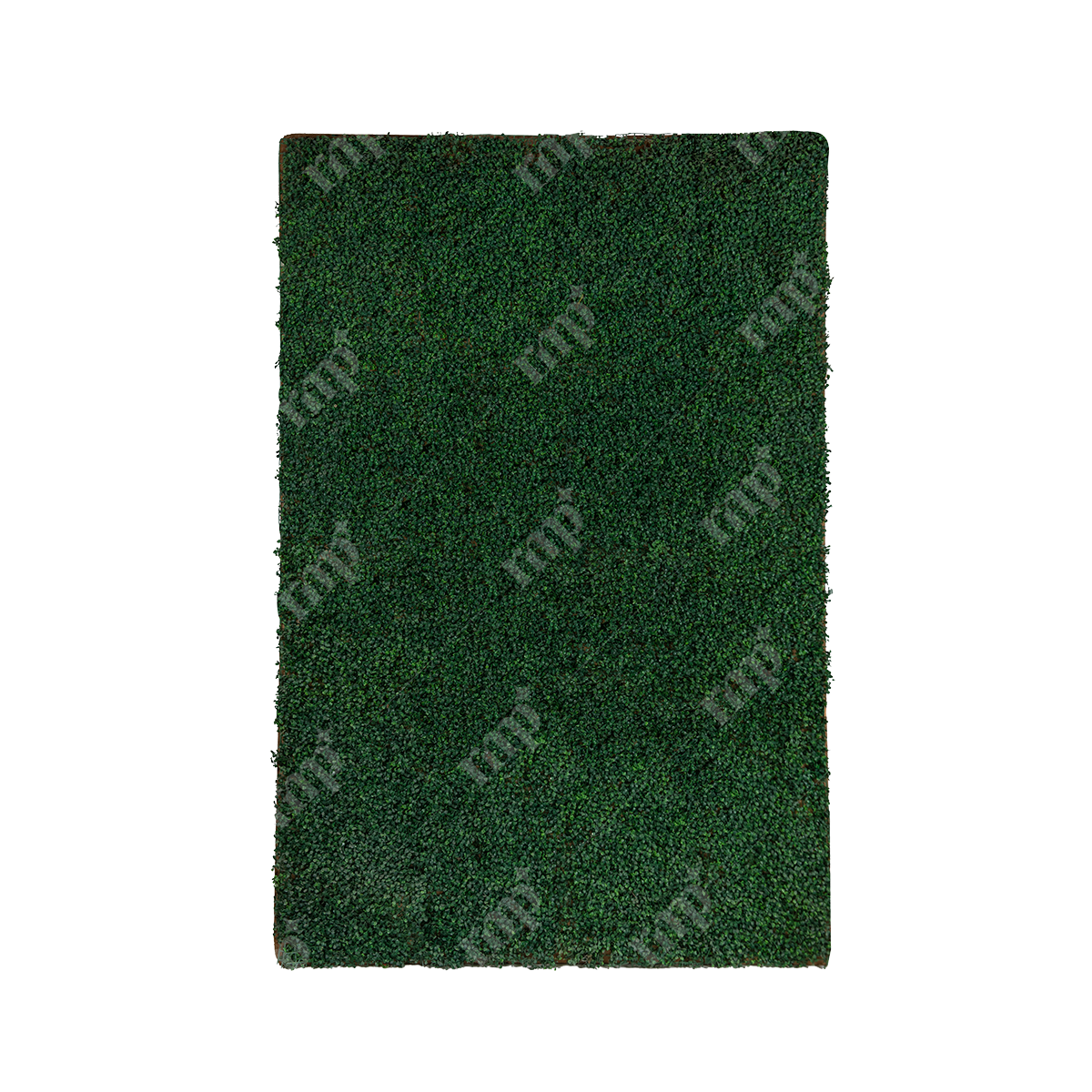 Greenery Wall By Rent My Party - Wood Backdrops