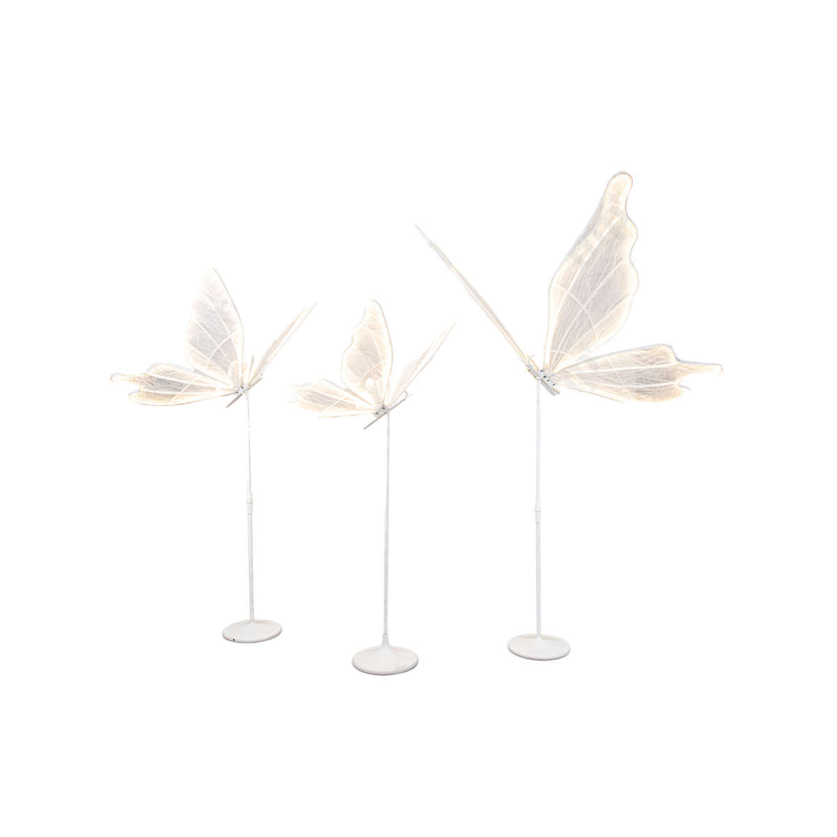 Led Butterfly By Rent My Party - Fabrics Backdrops