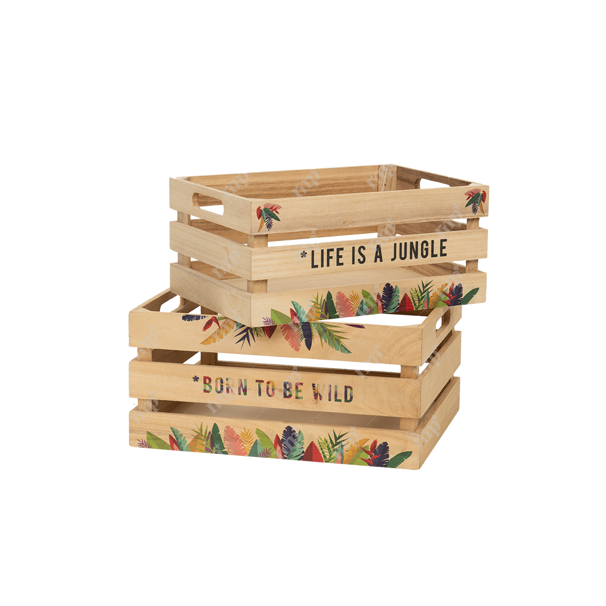 Life is a jungle boxes By Rent My Party - Basket & Boxes