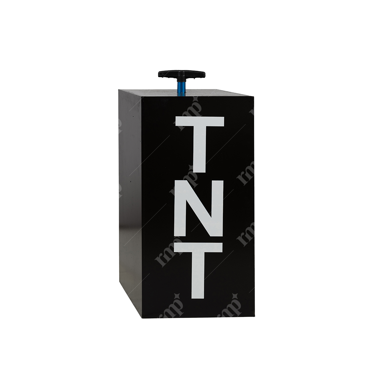 TNT By Rent My Party - Gender Reveal