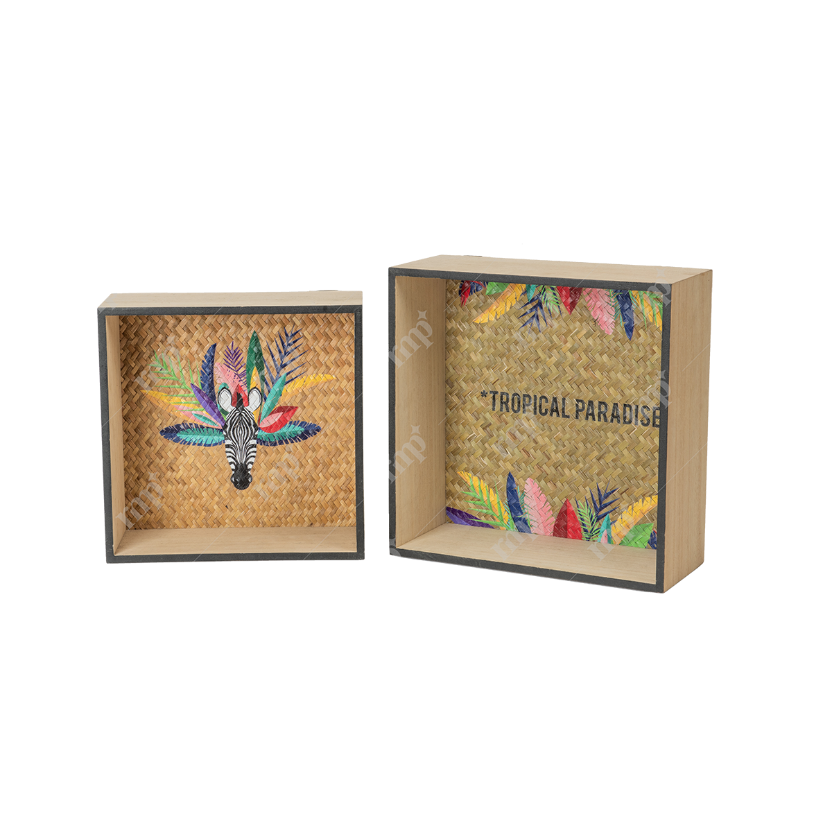 Tropical Paradise Boxes By Rent My Party - Basket & Boxes